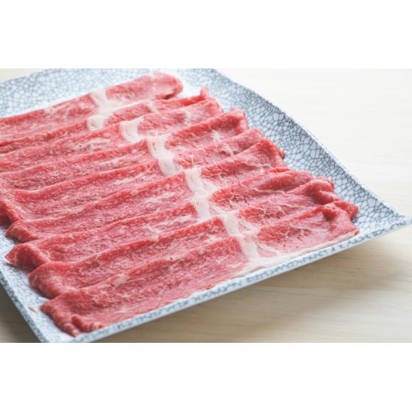 北海道十勝芽室町　未来とかち牛モモスライス　700g　me073-003c02