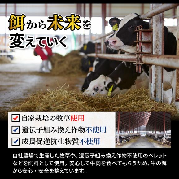北海道十勝芽室町　未来とかち牛モモスライス　700g　me073-003c05
