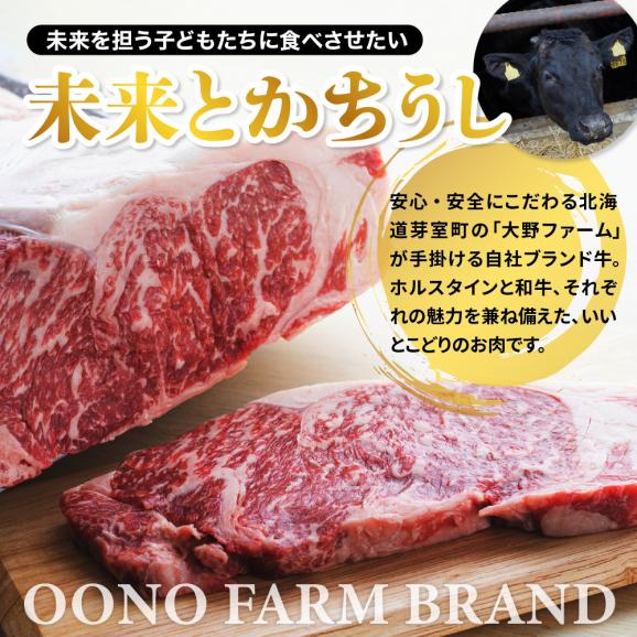 北海道十勝芽室町　未来とかち牛肩ローススライス　500g　me073-004c03