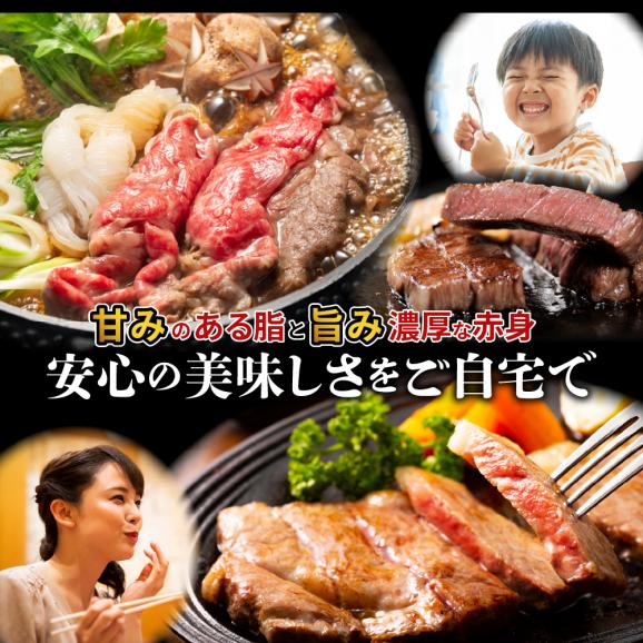 北海道十勝芽室町　未来とかち牛肩ローススライス　500g　me073-004c04