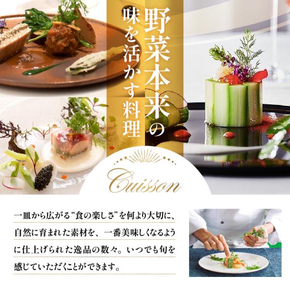 【表参道 フレンチ】ラ・ロシェル南青山　南仏のような空間で本格フレンチ【芽室町 Colorationコース】お食事券2名様 me061-021c04