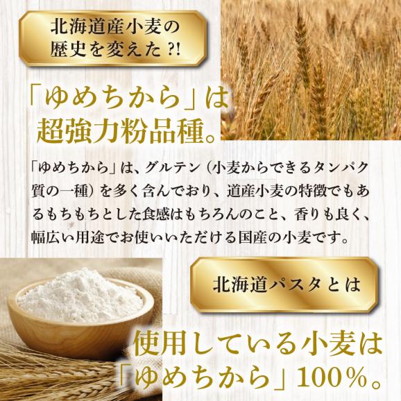 【全4回定期便】北海道産小麦 ゆめちから 国産 スパゲッティ！北海道パスタ 270g × 20袋　me000-025-k4c03