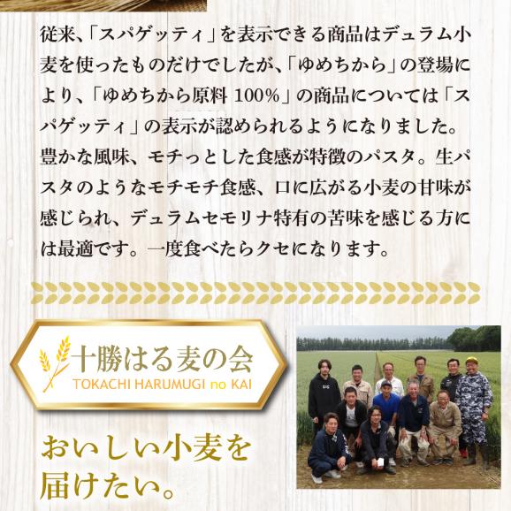 【隔月6回定期便】北海道産小麦 ゆめちから 国産 スパゲッティ！北海道パスタ 270g × 4袋　me000-024-k6c04