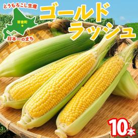 【2025年分先行予約】 北海道 芽室町とうもろこし ゴールドラッシュ 10本 【2025年8月発送】me035-026c-25