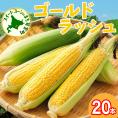 【先行受付】【2026年7月下旬～8月上旬頃配送】北海道十勝 芽室町産 朝獲れ とうもろこし ゴールドラッシュ20本　me035-027c-26