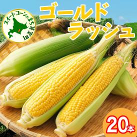 【先行受付】【2026年7月下旬～8月上旬頃配送】北海道十勝 芽室町産 朝獲れ とうもろこし ゴールドラッシュ20本　me035-027c-26