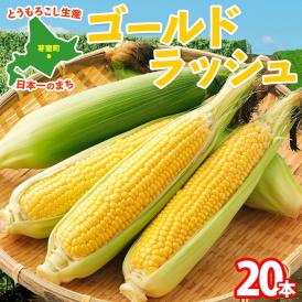 【2025年分先行予約】 北海道 芽室町とうもろこし ゴールドラッシュ 20本 【2025年8月発送】me035-027c-25