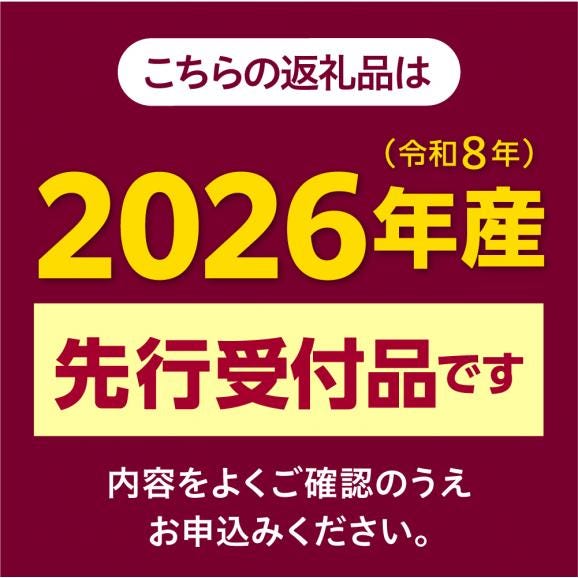 【先行受付】【2026年7月下旬～8月上旬頃配送】北海道十勝 芽室町産 朝獲れ とうもろこし ゴールドラッシュ20本　me035-027c-2602