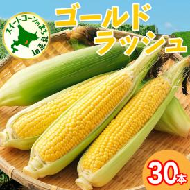 【先行受付】【2026年7月下旬～8月上旬頃配送】北海道十勝 芽室町産 朝獲れ とうもろこし ゴールドラッシュ30本　me035-028c-26