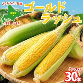 【2025年分先行予約】 北海道 芽室町とうもろこし ゴールドラッシュ 30本 【2025年8月発送】me035-028c-25