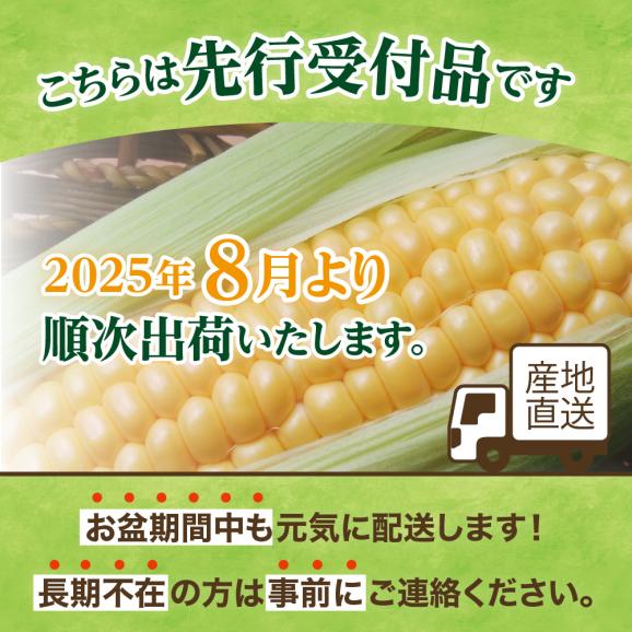 【2025年分先行予約】 北海道 芽室町とうもろこし ゴールドラッシュ 30本 【2025年8月発送】me035-028c-2502