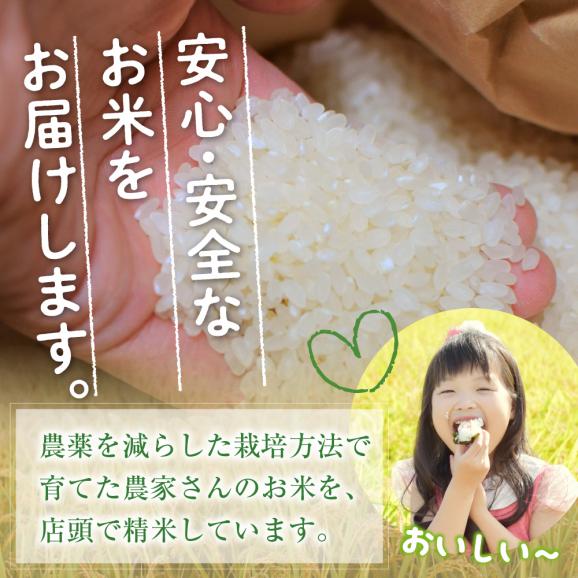【ふるさと納税】北海道産ななつぼし 当店オリジナル精米 5kg me047-004c03