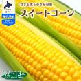 【ふるさと納税】【2025年分先行予約】北海道十勝芽室町 上美生のたからばこ とうもろこしゴールドラッシュ 12～13本 ポストカード セット me029-001c-25