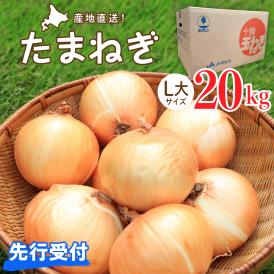 【2025年産先行受付】【10月上旬より発送】北海道十勝めむろ産　たまねぎ L大サイズ 20kg me010-011c-25