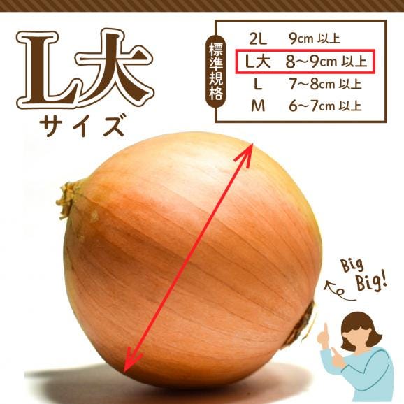 【2025年産先行受付】【10月上旬より発送】北海道十勝めむろ産　たまねぎ L大サイズ 20kg me010-011c-2502