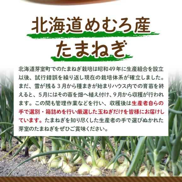 【2025年産先行受付】【10月上旬より発送】北海道十勝めむろ産　たまねぎ L大サイズ 20kg me010-011c-2503