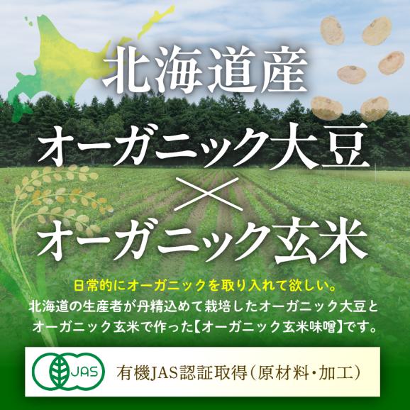 【ふるさと納税】北海道芽室町 北海道産オーガニック玄米味噌 2kg　me059-005c02