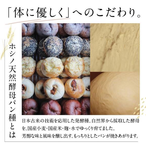 【ふるさと納税】北海道十勝芽室町 ベーグルおまかせ10点珈琲豆3点セット me070-003c03