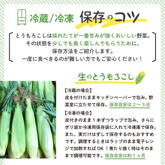 【先行予約】【2025年産】北海道十勝芽室町 とうもろこし バイカラー ドルチェドリーム 10本 me002-024c-2503
