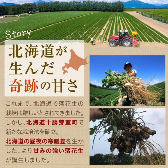 【先行予約】北海道十勝芽室町 生落花生（洗い）500g me010-016c03