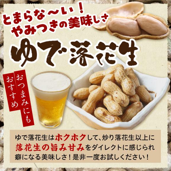 【先行予約】北海道十勝芽室町 生落花生（洗い）500g me010-016c04