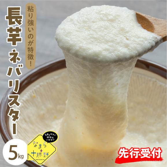 ふるさと納税】【先行受付】【2025年12月中旬より順次発送
