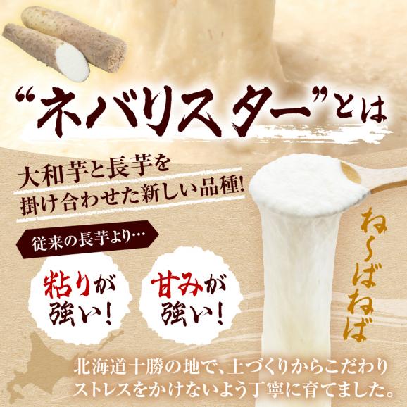 【ふるさと納税】【先行受付】【2025年12月中旬より順次発送】北海道十勝芽室町　なまら十勝野の中捨農場ながいも　ネバリスター 5kg me001-047c03