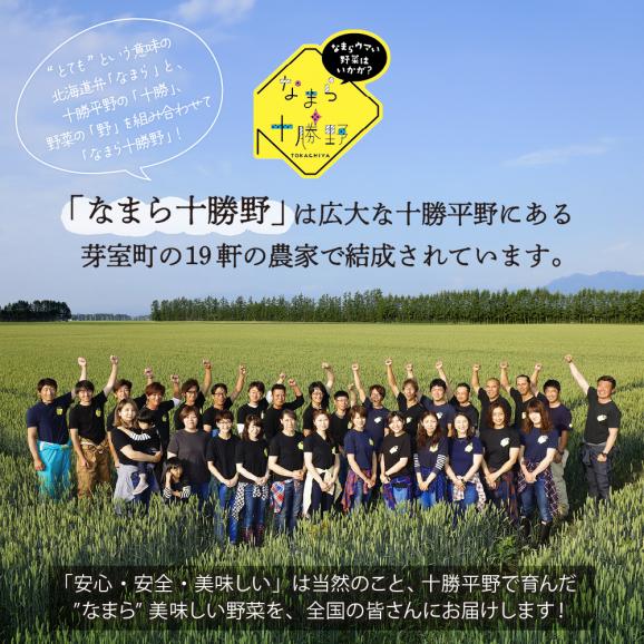 【ふるさと納税】【先行受付】【2025年12月中旬より順次発送】北海道十勝芽室町　なまら十勝野の中捨農場ながいも　ネバリスター 5kg me001-047c03
