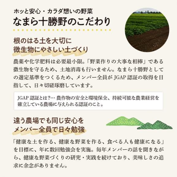 【ふるさと納税】【先行受付】【2025年12月中旬より順次発送】北海道十勝芽室町　なまら十勝野の中捨農場ながいも　ネバリスター 5kg me001-047c04