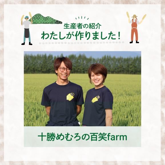 【ふるさと納税】【先行受付】【2026年12月中旬より順次発送】北海道十勝芽室町　なまら十勝野の長芋ネバリスター 5kg me001-047c05