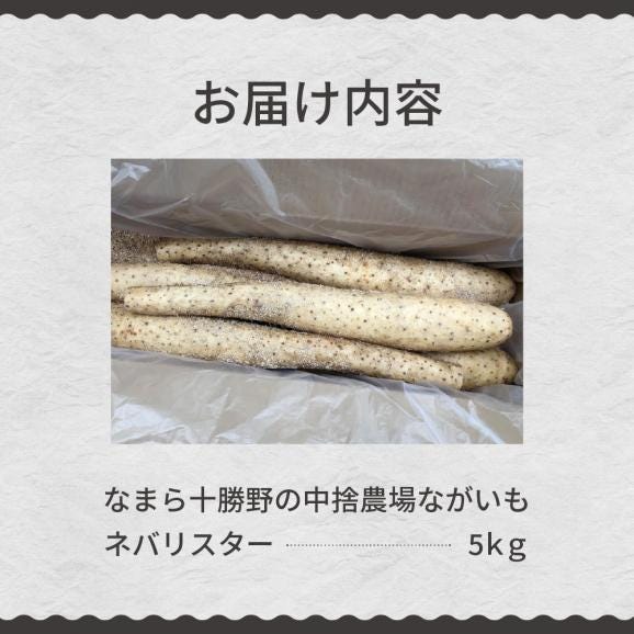 【ふるさと納税】【先行受付】【2025年12月中旬より順次発送】北海道十勝芽室町　なまら十勝野の中捨農場ながいも　ネバリスター 5kg me001-047c05