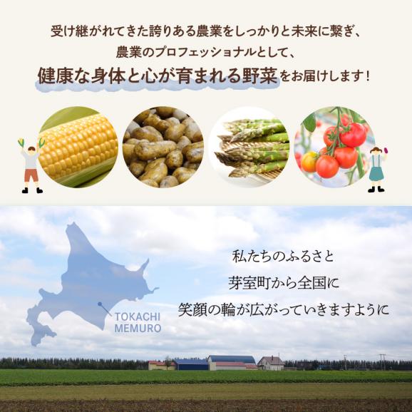 【ふるさと納税】【先行受付】【2025年12月中旬より順次発送】北海道十勝芽室町　なまら十勝野の中捨農場ながいも　ネバリスター 5kg me001-047c05