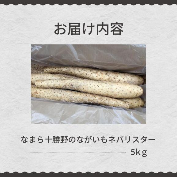 【ふるさと納税】【先行受付】【2026年12月中旬より順次発送】北海道十勝芽室町　なまら十勝野の長芋ネバリスター 5kg me001-047c06