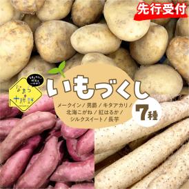 【先行受付】【2026年12月中旬より順次発送】北海道十勝芽室町　なまら十勝野のいもづくし 7種 計4kg me001-048c