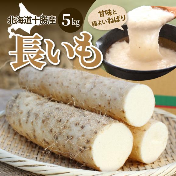 見事な 長芋(送料無料)の商品一覧｜通販・お取り寄せ・販売【ぐるすぐり】 野菜