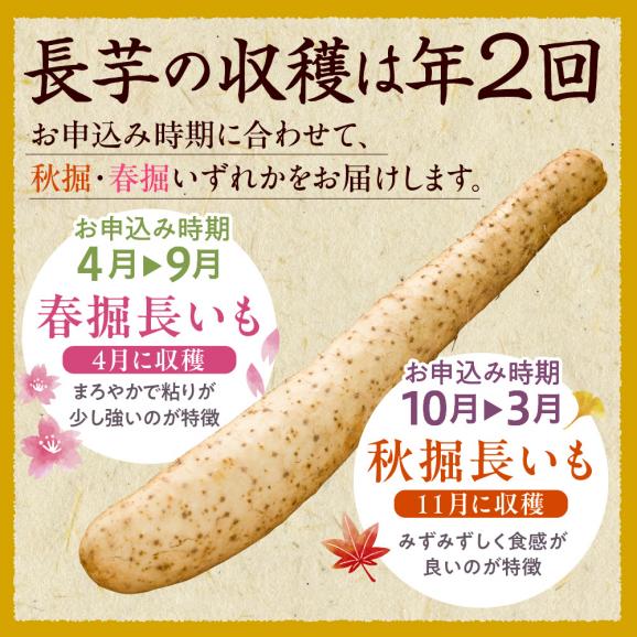 北海道十勝芽室町 ファーム・ミリオンの長芋【土付き】　5㎏ me016-012c05