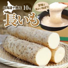 産地直送！すりおろしたり焼いたりいろいろな調理方法で楽しめます