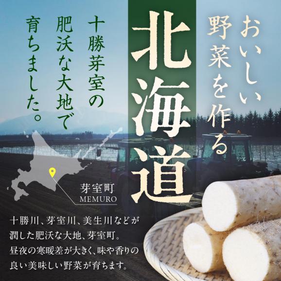 北海道十勝芽室町 ファーム・ミリオンの長芋　10kg me016-013c02