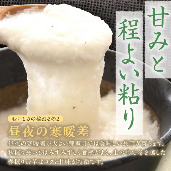 北海道十勝芽室町 ファーム・ミリオンの長芋　10kg me016-013c04