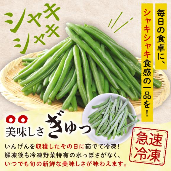 【ふるさと納税】北海道十勝芽室町 十勝めむろ 冷凍野菜 いんげん 300g×3袋 me003-120c03