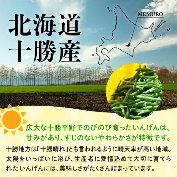 【ふるさと納税】北海道十勝芽室町 十勝めむろ 冷凍野菜 いんげん 300g×3袋 me003-120c04