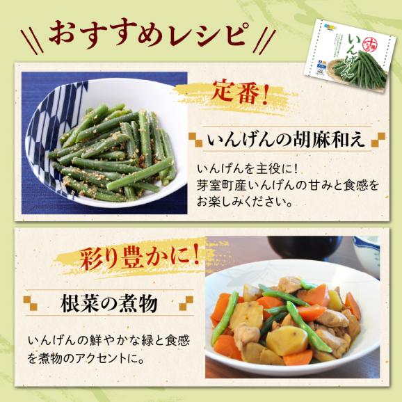 【ふるさと納税】北海道十勝芽室町 十勝めむろ 冷凍野菜 いんげん 300g×3袋 me003-120c06