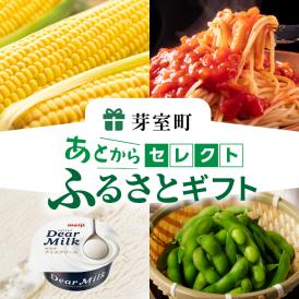北海道十勝芽室町 あとからセレクト 【ふるさとギフト】90万円分