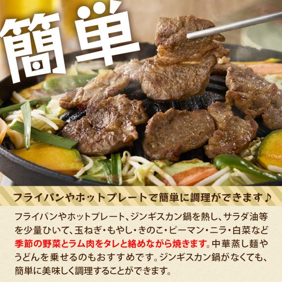 【ふるさと納税】北海道芽室町　味付　特上ラムジンギスカン　500g　me006-007c04