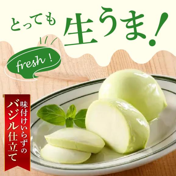 【ふるさと納税】明治北海道十勝生モッツァレラ バジル仕立て 100g×6パック me003-123c02
