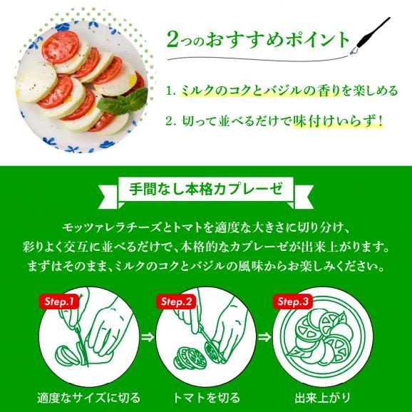 【ふるさと納税】明治北海道十勝生モッツァレラ バジル仕立て 100g×6パック me003-123c05