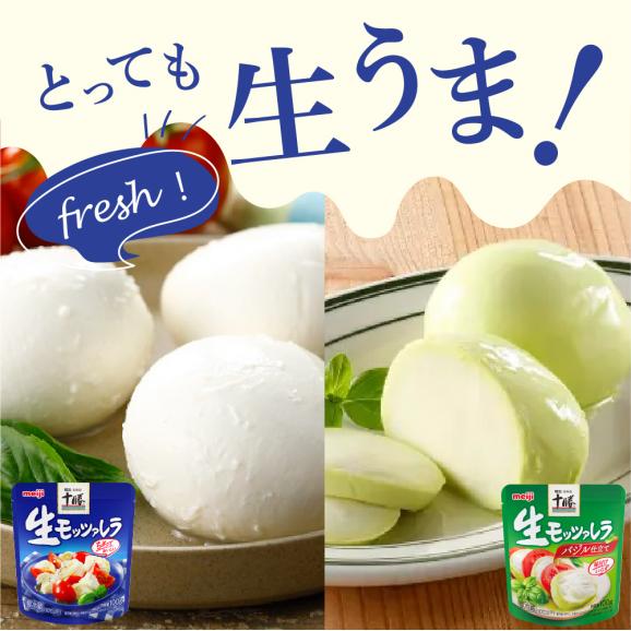 【ふるさと納税】明治北海道十勝生モッツァレラ プレーン×バジル 各100g×3パック 計6パック me003-124c02