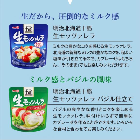【ふるさと納税】明治北海道十勝生モッツァレラ プレーン×バジル 各100g×3パック 計6パック me003-124c04