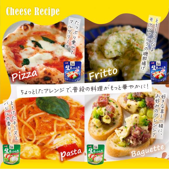 【ふるさと納税】明治北海道十勝生モッツァレラ プレーン×バジル 各100g×3パック 計6パック me003-124c05