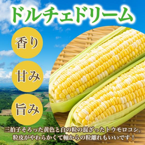 【2025年分先行予約】北海道十勝 芽室町産 とうもろこし ドルチェドリーム 10本 【2025年8月発送】me035-030c-2503
